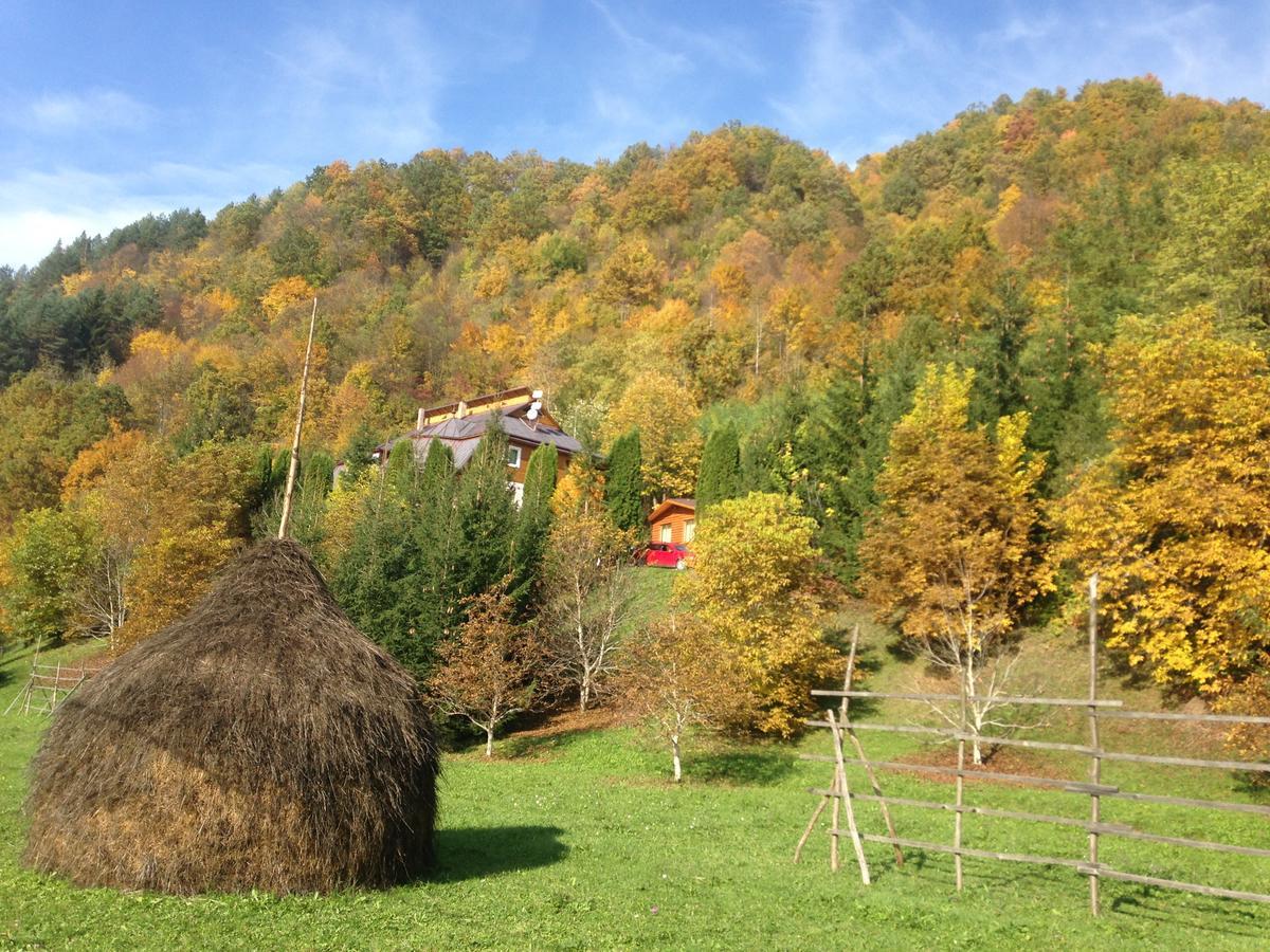 Vila Flora Viseu De Jos Buitenkant foto